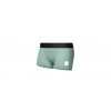 SENSOR MERINO CORDURA dámské kalhotky s nohavičkou basil green L SENSOR MERINO CORDURA dámské kalhotky s nohavičkou basil green L