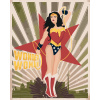ZUTY Maľovanie podľa čísel - WONDER WOMAN HVIEZDA Rámovanie: vypnuté plátno na rám, Rozmer: 40x50 cm ZUTY Maľovanie podľa čísel - WONDER WOMAN HVIEZDA Rámovanie: vypnuté plátno na rám, Rozmer: 40x50 cm