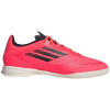 adidas F50 League IN M IF1331 adidas F50 League IN M IF1331