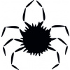 Pavouk - plastová šablona 339 Rozměr: D 29x29cm Pavouk - plastová šablona 339 Rozměr: D 29x29cm