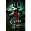 Čierne leto - M.W. Craven Čierne leto - M.W. Craven