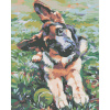 ZUTY Maľovanie podľa čísel - ŠTENIATKO OVČIAKA Rámovanie: vypnuté plátno na rám, Rozmer: 40x50 cm ZUTY Maľovanie podľa čísel - ŠTENIATKO OVČIAKA Rámovanie: vypnuté plátno na rám, Rozmer: 40x50 cm
