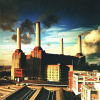 PINK FLOYD – Animals (LP) PINK FLOYD – Animals (LP)