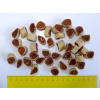 Salac Rolka sushi losos treska 100 g Salac Rolka sushi losos treska 100 g