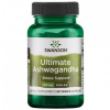 Swanson Ashwagandha Ultimate KSM-66, 250 mg, 60 rastlinných kapsúl Swanson Ashwagandha Ultimate KSM-66, 250 mg, 60 rastlinných kapsúl