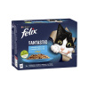 Nestlé FELIX Fantastic cat Multipack výber z rýb želé kapsička 12x85 g Nestlé FELIX Fantastic cat Multipack výber z rýb želé kapsička 12x85 g