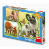 Dino - Puzzle 3x55 Rodinka zvierat - 40-99 dielov Dino - Puzzle 3x55 Rodinka zvierat - 40-99 dielov