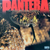 THE GREAT SOUTHERN TRENDKILL PANTERA Vinyl THE GREAT SOUTHERN TRENDKILL PANTERA Vinyl