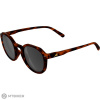 ALPINA SNEEK 2.0 okuliare, havana matt/black ALPINA SNEEK 2.0 okuliare, havana matt/black