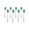 TrueLife SonicBrush Compact Heads White Stand 8KS TrueLife SonicBrush Compact Heads White Stand 8KS
