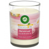 Air Wick Harmony Waterlilly & Rosemary & Pink Pepper vonná sviečka – 220 g Air Wick Harmony Waterlilly & Rosemary & Pink Pepper vonná sviečka – 220 g