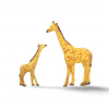 Cukrové ploské žirafy rodinka (Cukrové ploské žirafy – safari dekorácia na tortu (set)) Cukrové ploské žirafy rodinka (Cukrové ploské žirafy – safari dekorácia na tortu (set))