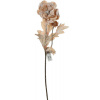 Vianočný Ranunculus kusový Exclusive 58cm umelý lososový Vianočný Ranunculus kusový Exclusive 58cm umelý lososový