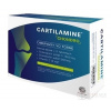 Medoselect Cartilamine Chondro 60 kapsúl Medoselect Cartilamine Chondro 60 kapsúl