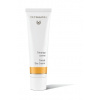 Dr. Hauschka Tónovací denní krém (Tinted Day Cream) 30 ml Dr. Hauschka Tónovací denní krém (Tinted Day Cream) 30 ml