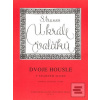 U krále valčíků (Johann Strauss) U krále valčíků (Johann Strauss)