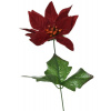 Poinsettia Poinzercia Vianočná ruža 50cm červená umelá - super cena! Poinsettia Poinzercia Vianočná ruža 50cm červená umelá - super cena!