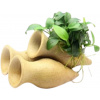 Dennerle Plants Anubias nana Bonsai on Shrimp Amphora - 1 ks Dennerle Plants Anubias nana Bonsai on Shrimp Amphora - 1 ks