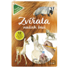 Zvířata našich lesů - Junior Zvířata našich lesů - Junior