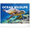 NOTIQUE Nástenný Podmorský svet 48 x 33 cm 2026 NOTIQUE Nástenný Podmorský svet 48 x 33 cm 2026