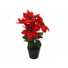 UMELÝ KVET VIANOČNÁ HVIEZDA ČERVENÁ VIANOČNÁ 29X28X24 CM UMELÝ KVET VIANOČNÁ HVIEZDA ČERVENÁ VIANOČNÁ 29X28X24 CM