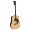Akustická gitara Richwood NT Dreadnought PM Akustická gitara Richwood NT Dreadnought PM