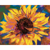 ZUTY Maľovanie podľa čísel SLNEČNICE NA FAREBNOM POZADÍ Rámovanie vypnuté plátno na rám Rozmer 80x100 cm ZUTY Maľovanie podľa čísel SLNEČNICE NA FAREBNOM POZADÍ Rámovanie vypnuté plátno na rám Rozmer 80x100 cm