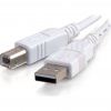 C2G 3m USB 2.0 A/B Cable USB kábel USB A USB B Biela (81562) C2G 3m USB 2.0 A/B Cable USB kábel USB A USB B Biela (81562)