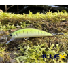 Wobler ILLEX Tricoroll 55 S - Vairon Wobler ILLEX Tricoroll 55 S - Vairon