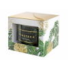 Nohel Garden Sviečka v skle MONSTERA de lux vonná 400g Nohel Garden Sviečka v skle MONSTERA de lux vonná 400g