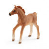 Schleich 42361 Hříbě s přikrývkou Schleich 42361 Hříbě s přikrývkou