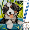 Maľba podľa čísel 40x30cm - Maaleo dog 22780 Maľba podľa čísel 40x30cm - Maaleo dog 22780