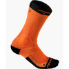 Ponožky DYNAFIT ULTRA CUSHION SK Uni veľkosť 35/38 Ponožky DYNAFIT ULTRA CUSHION SK Uni veľkosť 35/38