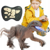 INTERAKTÍVNY DINOSAURUS DIAĽKOVO OVLÁDANÝ ROBOT LED CHÔDZA A REV + DIAĽKOVÝ OVLÁDAČ INTERAKTÍVNY DINOSAURUS DIAĽKOVO OVLÁDANÝ ROBOT LED CHÔDZA A REV + DIAĽKOVÝ OVLÁDAČ