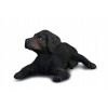 COLLECTA Pes Labrador šteňa COLLECTA Pes Labrador šteňa