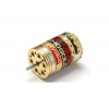 Kyosho Le Mans 240 Gold BLS Motor 13.5 Legendary Serie (K.37034) Kyosho Le Mans 240 Gold BLS Motor 13.5 Legendary Serie (K.37034)