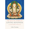 Healing Power of Loving-Kindness (Brožovaná) Healing Power of Loving-Kindness (Brožovaná)