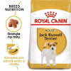Royal Canin Jack Russell adult 3 kg Royal Canin Jack Russell adult 3 kg