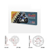 Řetězová sada s ČZ HX-ring GOLD KTM RC 125 rok 14-24 Řetězová sada s ČZ HX-ring GOLD KTM RC 125 rok 14-24