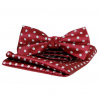Pánsky motýlik a ozdobná vreckovka, súprava bordová s bodkami Pánsky motýlik a ozdobná vreckovka, súprava bordová s bodkami