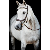 Uzdečka Rambo Micklem Multibridle 2, dark havana Veľkosť: PONY/COB Uzdečka Rambo Micklem Multibridle 2, dark havana Veľkosť: PONY/COB