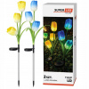 Solárna lampa do zeme SuperLED viacfarebná 70 cm 2 ks Solárna lampa do zeme SuperLED viacfarebná 70 cm 2 ks