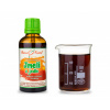 Jmelí z jedle bělokoré - kapky Duše rostlin (tinktura) 50 ml - doplněk stravy Jmelí z jedle bělokoré - kapky Duše rostlin (tinktura) 50 ml - doplněk stravy