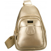 Peterson Sportovní dámská zlatá kabelka přes rameno PTN SSY-1-PIL ONE SIZE Peterson Sportovní dámská zlatá kabelka přes rameno PTN SSY-1-PIL ONE SIZE