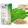 Poľská tráva odolná voči suchu Sahary Suchum 10 kg (Poľská tráva odolná voči suchu Sahary Suchum 10 kg) Poľská tráva odolná voči suchu Sahary Suchum 10 kg (Poľská tráva odolná voči suchu Sahary Suchum 10 kg)