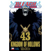 Bleach 43: Kingdom of Hollows - Tite Kubo Bleach 43: Kingdom of Hollows - Tite Kubo