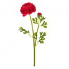 Autronic Ranunculus - umělý řezaný, květ s poupětem, tmavě-růžový, sada 6 ks Autronic Ranunculus - umělý řezaný, květ s poupětem, tmavě-růžový, sada 6 ks
