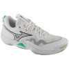 Mizuno Wave Momentum Elite V1GA251221 White 41 41 Mizuno Wave Momentum Elite V1GA251221 White 41 41
