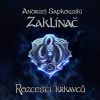 Zaklínač IX.: Rozcestí krkavců (audiokniha na CD) (Andrzej Sapkowski) Zaklínač IX.: Rozcestí krkavců (audiokniha na CD) (Andrzej Sapkowski)
