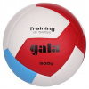 Gala BV5475S Training 500 g volejbalová lopta (č. 5)